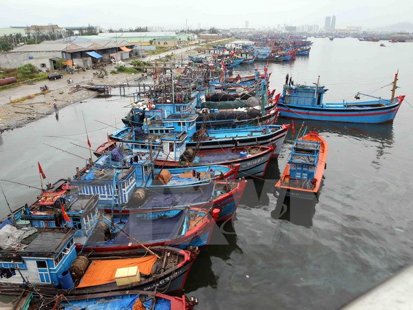 Từ 17 giờ ngày 18-8, Hải Phòng thực hiện lệnh cấm biển 